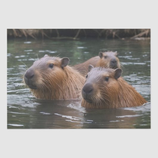 das Baden von Capybaras im Fluss, Seidenpapier (Vorderseite)