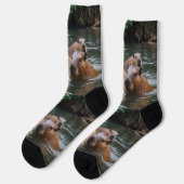 das Baden von Capybaras im Fluss, Socken (Linkes Detail)