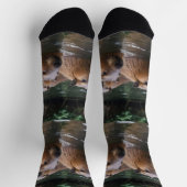 das Baden von Capybaras im Fluss, Socken (Oben)