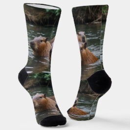 das Baden von Capybaras im Fluss, Socken