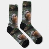 das Baden von Capybaras im Fluss, Socken (Rechts)
