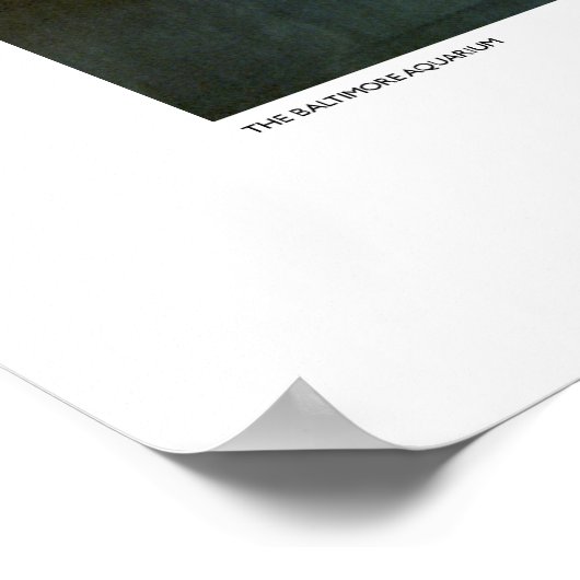 Das Baltimore Aquarium Poster (Ecke)