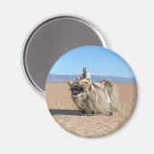 Das Banthapug-Magnet wird umkippen Magnet (Vorderseite/Rückseite)