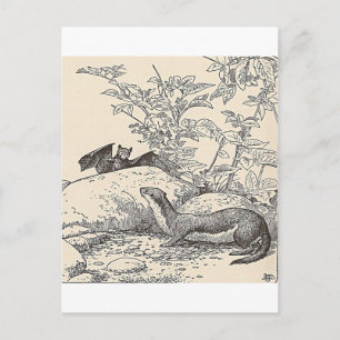 Das Bat und der Mink Postkarte