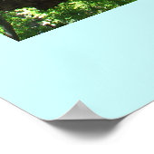 Das Baumposter gerettet Poster (Ecke)