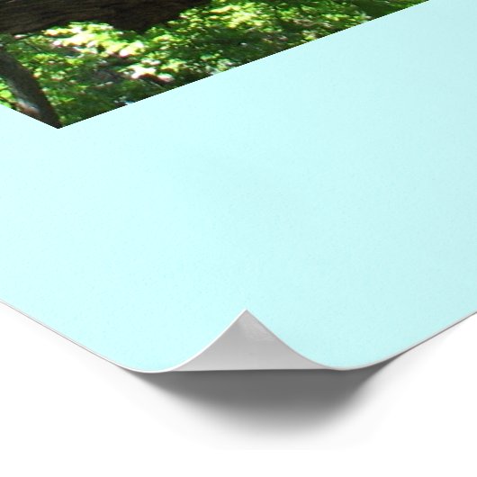 Das Baumposter gerettet Poster (Ecke)