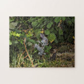 Das Baumwollsamt-Kaninchen-Puzzlespiel Puzzle (Horizontal)