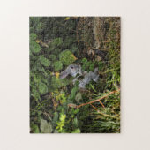 Das Baumwollsamt-Kaninchen-Puzzlespiel Puzzle (Vertikal)