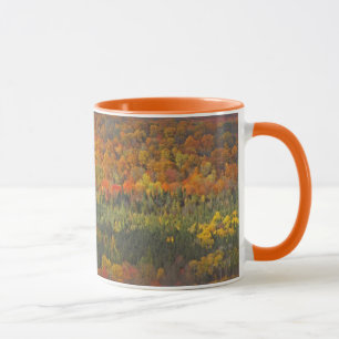 DAS BAUTAL "AUTUMN LANDSCAPE" WIRD IN GOLD UMGEBEN TASSE