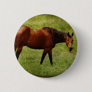 Das Bay Horse Button