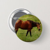 Das Bay Horse Button (Vorne & Hinten)