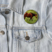 Das Bay Horse Button (Beispiel)