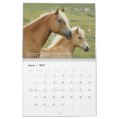 Das bemerkenswerte Pferd mit dem Kalender der Pfer (Mär 2027)