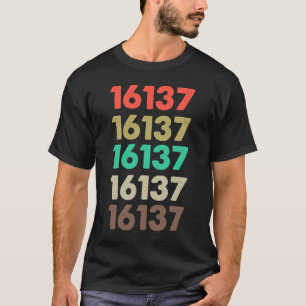 Das besagt 16137 Retro Zip-Code Zipcode 16137 T-Shirt