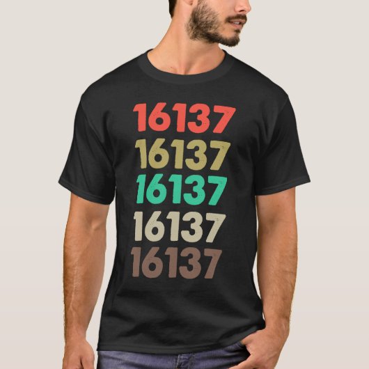 Das besagt 16137 Retro Zip-Code Zipcode 16137 T-Shirt (Vorderseite)