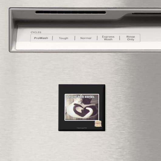 Das Beste aus beiden Welten. Magnet (In Situ (Geschirrspüler))