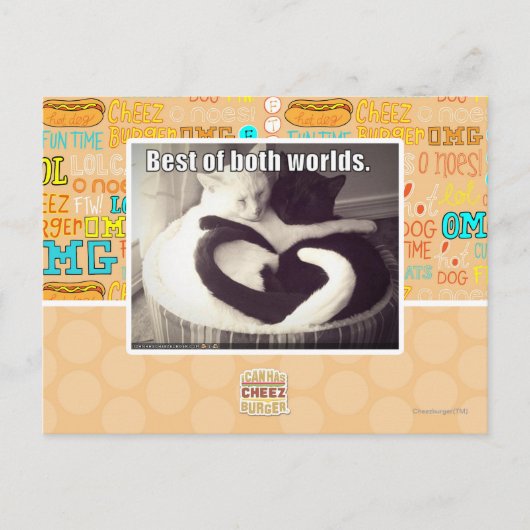 Das Beste aus beiden Welten. Postkarte (Vorderseite)
