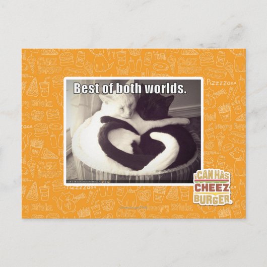 Das Beste aus beiden Welten. Postkarte (Vorderseite)
