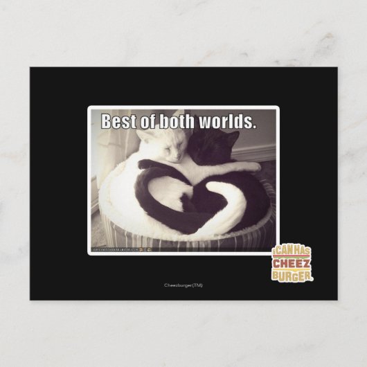 Das Beste aus beiden Welten. Postkarte (Vorderseite)