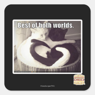 Das Beste aus beiden Welten. Quadratischer Aufkleber