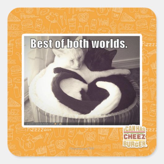 Das Beste aus beiden Welten. Quadratischer Aufkleber (Vorderseite)
