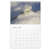 Das beste Geschenk für den Besten 2025 Kalender (Feb 2026)