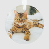 Das beste Jahr für Karierte CAT-Namen weltweit Ornament (Rückseite)