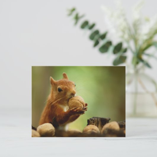 Das Beste vom Bunch Postkarte (Stehend Vorderseite)