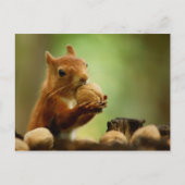 Das Beste vom Bunch Postkarte (Vorderseite)