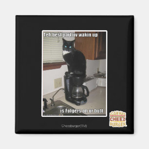 das bestes Teil UVwakin oben Magnet