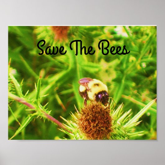 Das Bienenposter gerettet Poster (Vorne)
