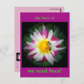 das Bienensturm Postkarte (Vorne/Hinten)