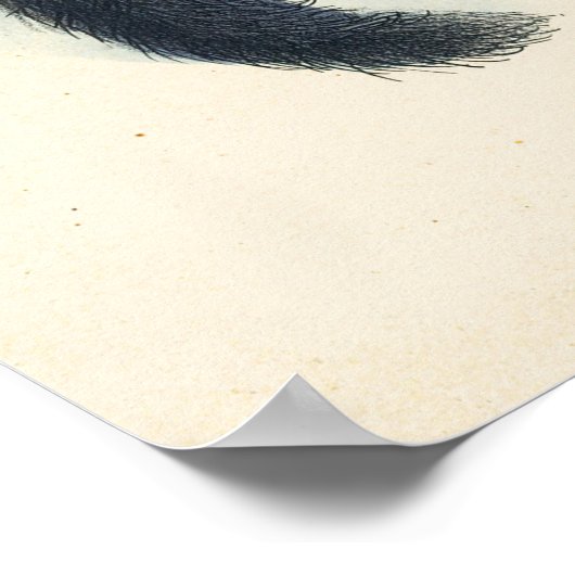 Das Binturong von Joseph Wolf Poster (Ecke)