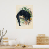 Das Binturong von Joseph Wolf Poster (Küche)
