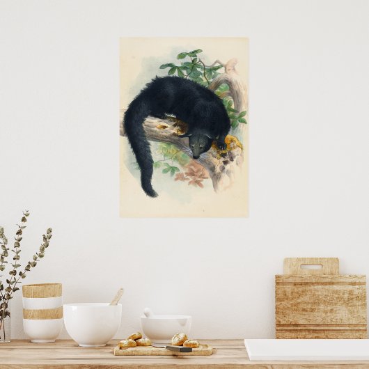 Das Binturong von Joseph Wolf Poster (Küche)