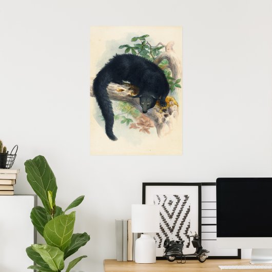 Das Binturong von Joseph Wolf Poster (Heimbüro)