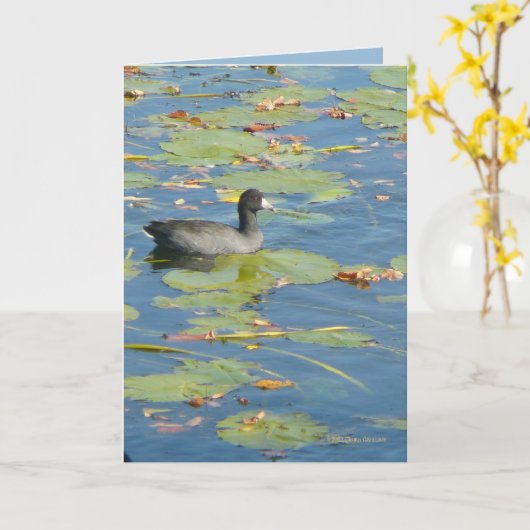 Das Blässhuhn Karte (Gelbe Blume)