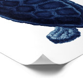 Das blaue Meer Schildkröten Beach Badezimmer Poster (Ecke)