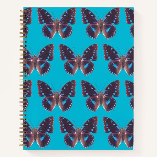 Das Blue Frack Butterfly Hardcover-Notebook Notizblock (Vorderseite)