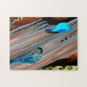 Das Bluebird-Nest Puzzle (Horizontal)