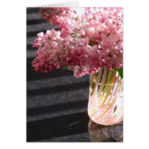 Das Blush des lila 'Mädchens