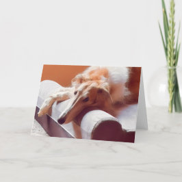 Das Borzoi-Gesicht Ankündigung