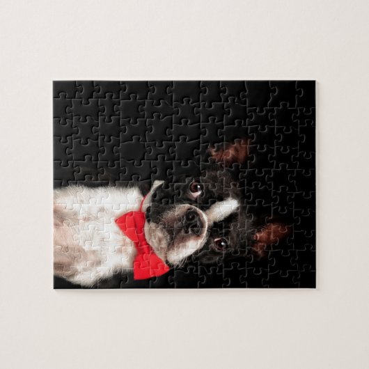 Das Boston Puzzle (Horizontal)