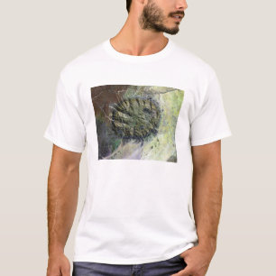 Das Brandberg Gebirgsmassiv in Nordnamibia T-Shirt