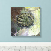 Das Brandberger Massiv in Nordnamibia Leinwanddruck (Insitu (Holzboden))