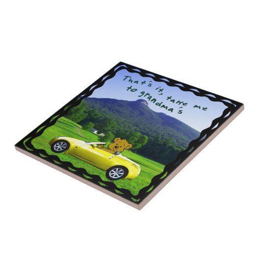 DAS BRAUCHE ICH ZU GRANDMA'S TILE FLIESE (Seite)