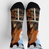 Das braune Pferd hauen, Crew Socken (Oben)