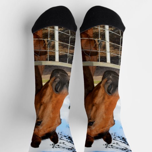 Das braune Pferd hauen, Crew Socken (Oben)