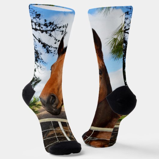 Das braune Pferd hauen, Crew Socken (Gewinkelt)