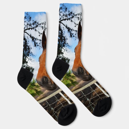 Das braune Pferd hauen, Crew Socken (Rechts)